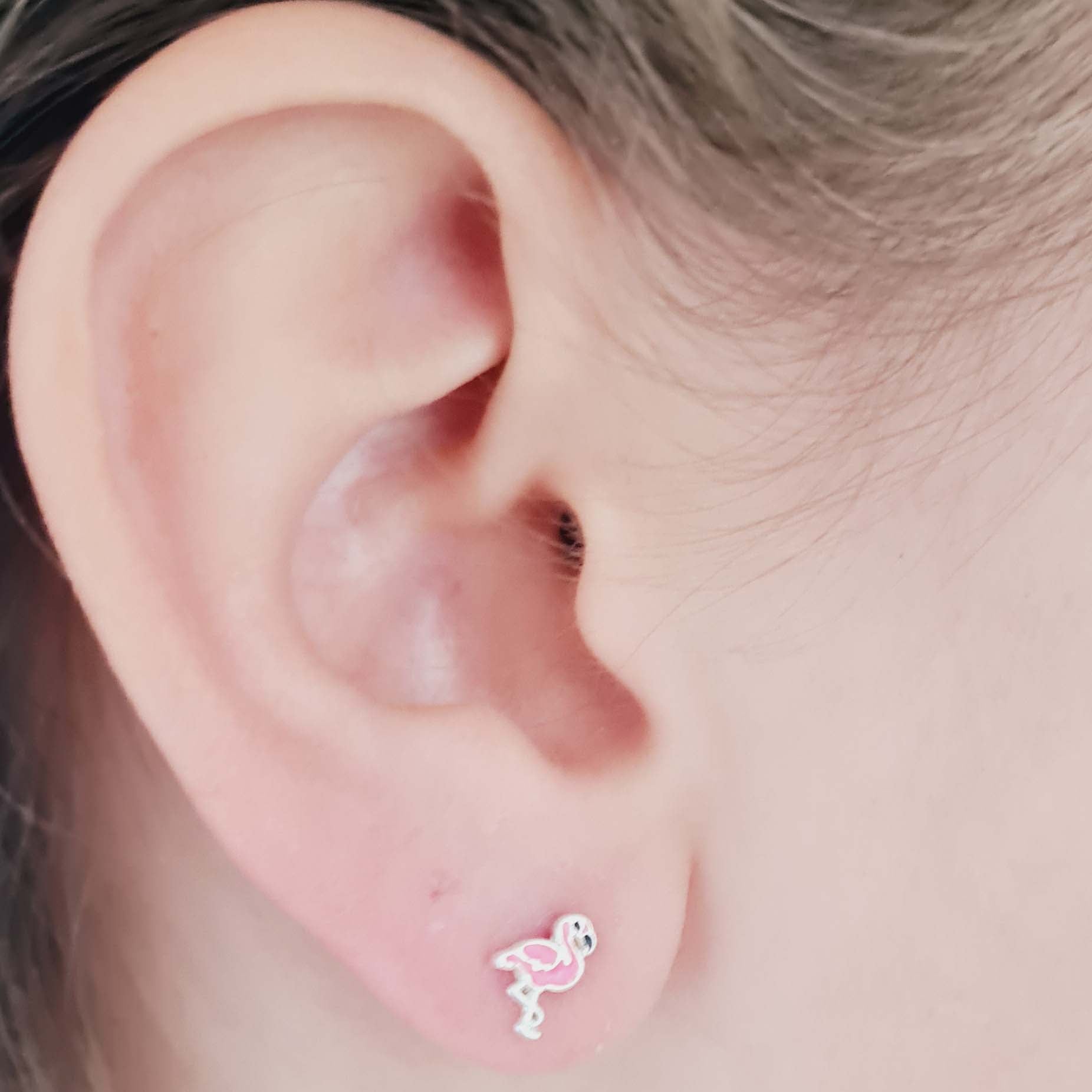 Brinco de Flamingo com Resina Colorida em Prata 925